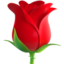 :rose: 🌹