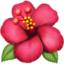 :hibiscus: 🌺