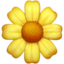 :blossom: 🌼