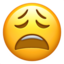 :weary: đŸ˜©