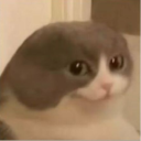 MITCHCONNE